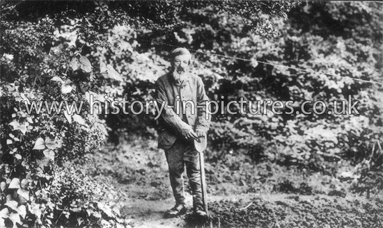 The Hermit, Hainault Forest, Essex. c.1908